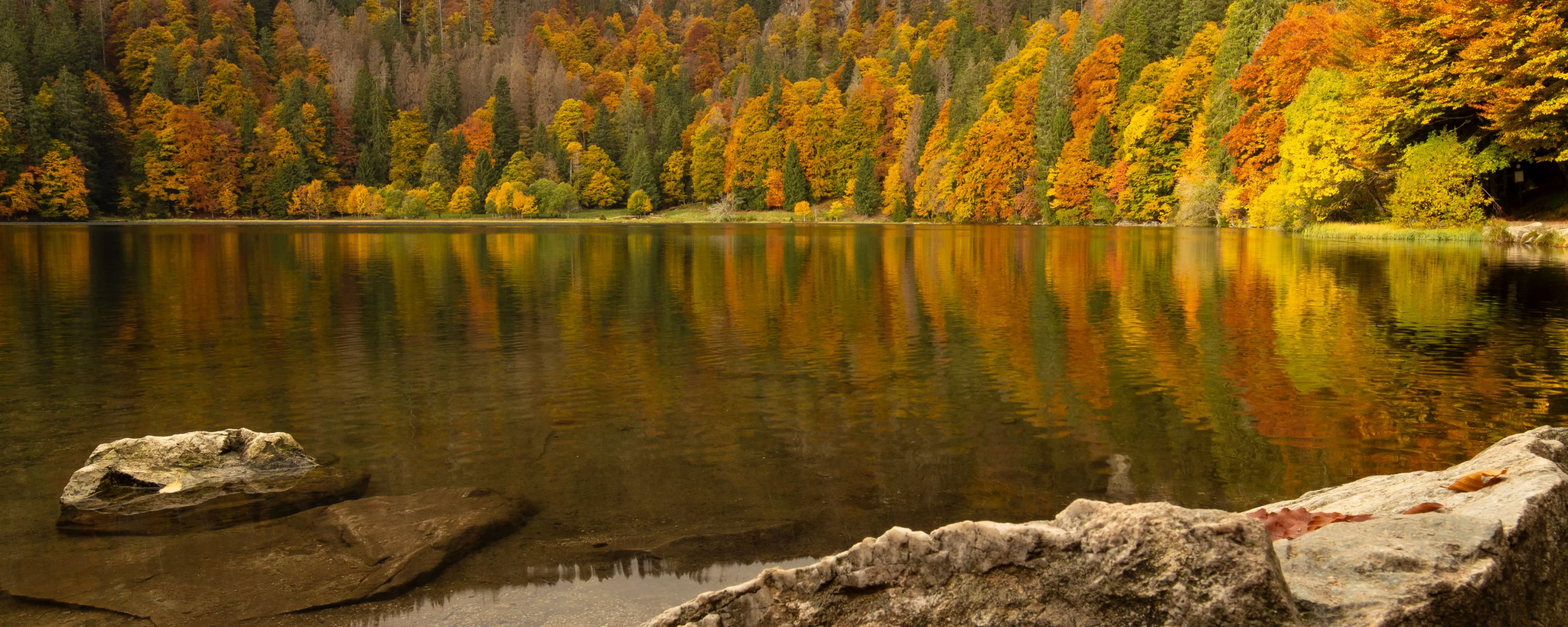 Feldsee Titelbild Slider